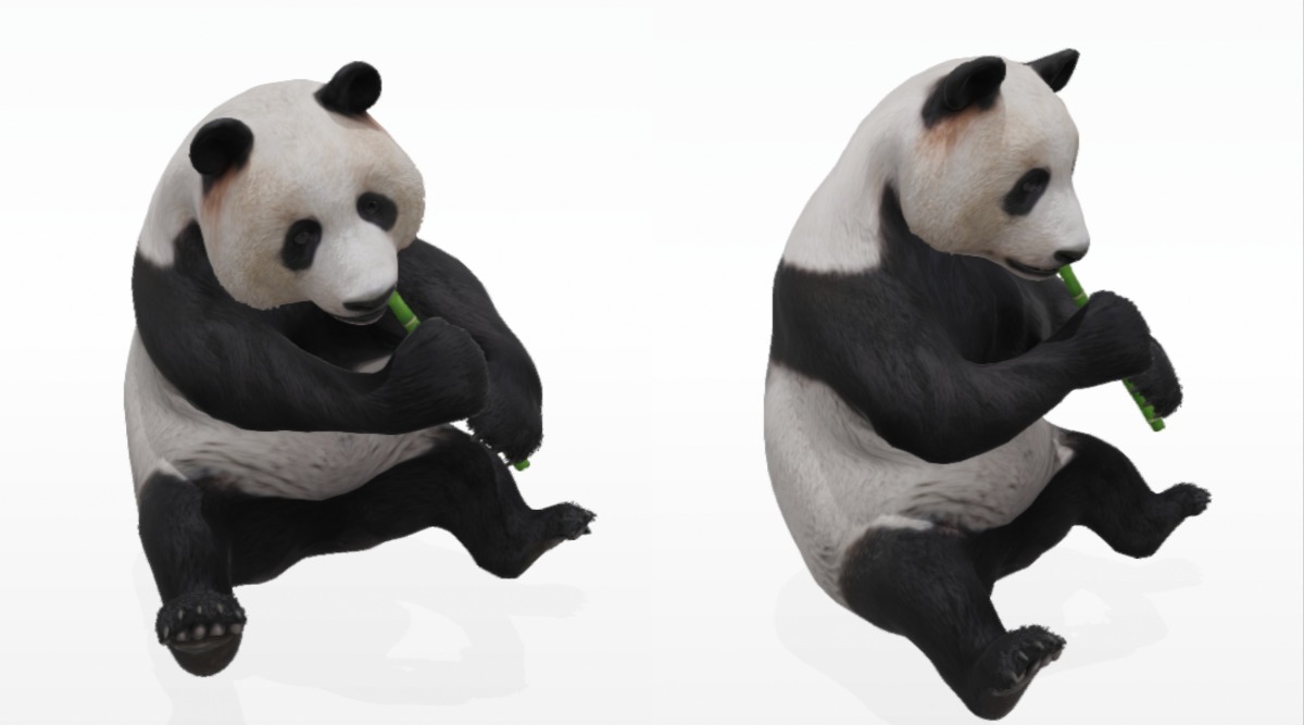 Google 3D Animals AR Feature From Lion, Giant Panda