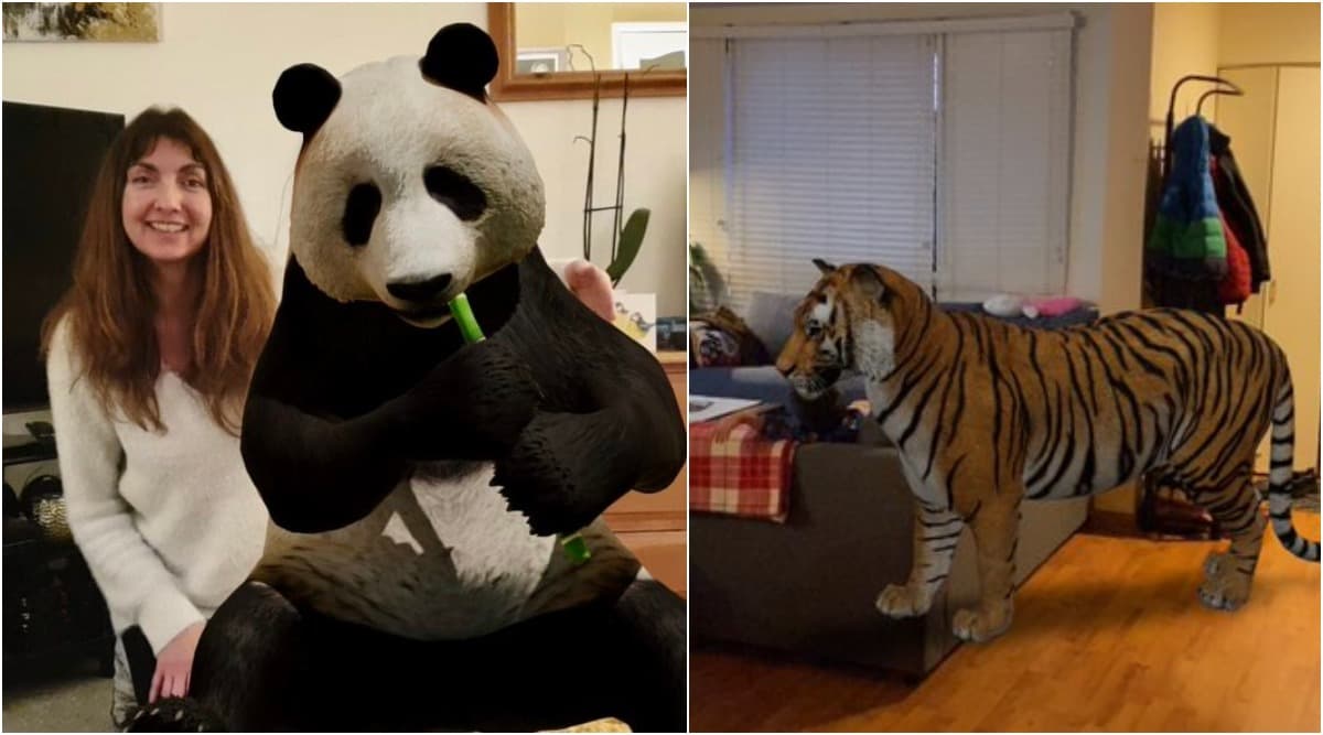 Google 3D Animals AR Feature From Lion, Giant Panda