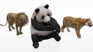 Google 'View in 3D' Animals AR Feature Video Tutorial: Step by Step Guide on How to Click Photos With Lion, Giant Panda, Tiger, and Penguin in Your Space