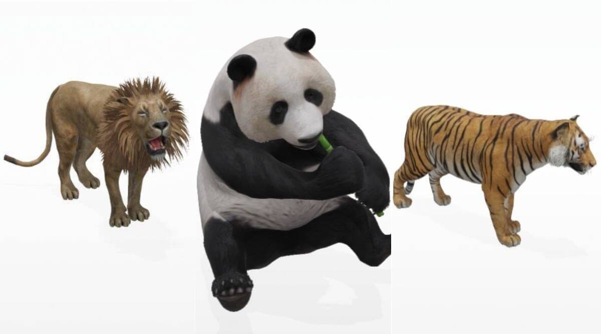 3D Animals Google List Lion   Google 3D Animals 020 