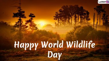 Happy World Wildlife Day 2020 Wishes: WhatsApp Stickers, GIF Images, Greetings and SMS to Give Messages of Conservation