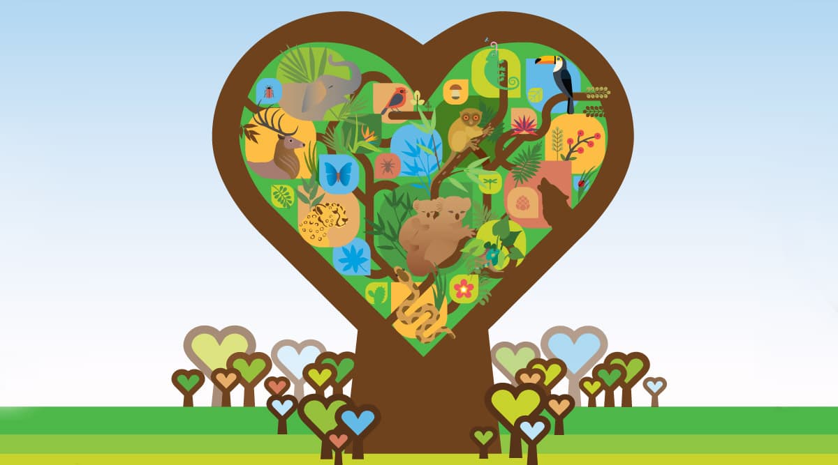 International Day of Forests 2021: Date, Theme and Significance
