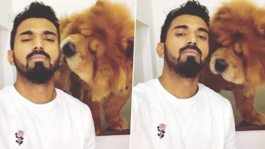 KL Rahul Enjoys Time With His Pet Dog Amid COVID-19 Lockdown (Watch Video)