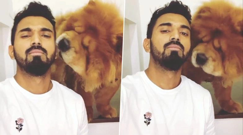 KL Rahul Enjoys Time With His Pet Dog Amid COVID-19 Lockdown (Watch Video)