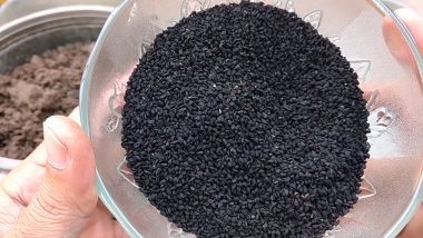 Health Benefits of Kalonji (Black Seeds): From Weight Loss to Strong Immunity, Here Are 5 Reasons Why You Should Eat Nigella Sativa