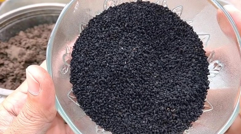 Health Benefits of Kalonji (Black Seeds): Five Reasons Why You Shout Eat Nigella Sativa