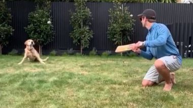 Kane Williamson’s Pet Dog Sandy Takes Super Catch, Can Give Best Fielders A Good Run for Their Money (Watch Video)