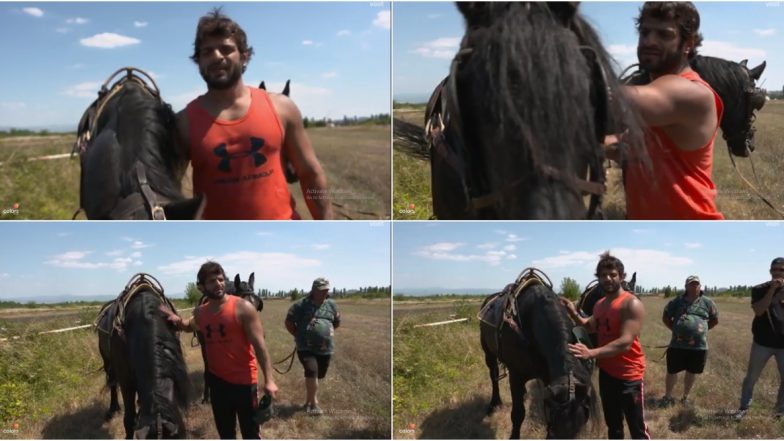 Khatron Ke Khiladi 10: Did You Know That Yeh Hai Mohabbatein's Karan Patel Owns 12 Horses?