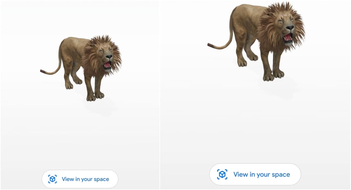 Google 3D Animals Brings Giant Panda, Lion, Penguin, Tiger