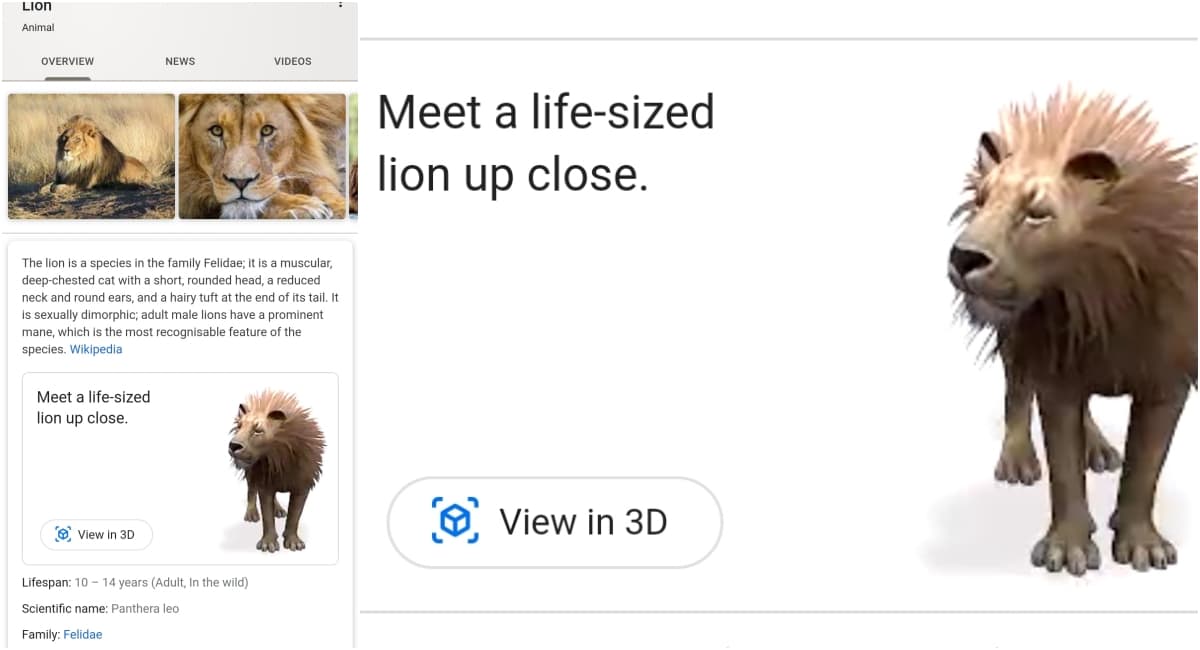 Google 3D Animals Brings Giant Panda, Lion, Penguin, Tiger