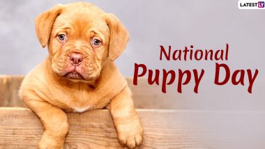 National Puppy Day 2020 Date: History, Significance and Celebration of Day Dedicated to Adorable Puppy Dogs