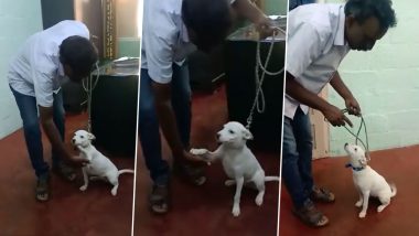 Pooja, an Indie Puppy is Training to Be Part of Police Canine Unit in Bengaluru (Watch Video)