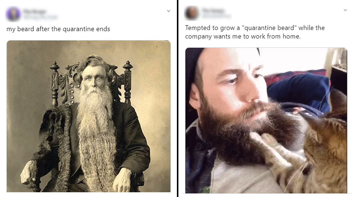 Quarantine Beard Funny Memes People Share Pictures Of Growing Or