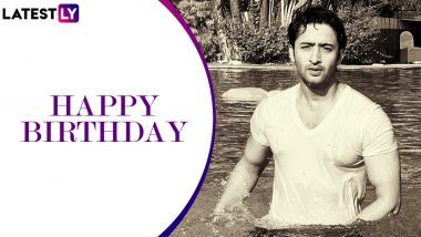 Shaheer Sheikh Birthday Special: From Arjun in Mahabharat to Dev in Kuch Rang Pyaar Ke Aise Bhi, 5 Roles That The Hunk Portrayed To Perfection