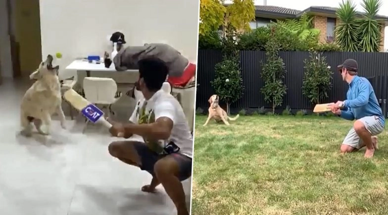 After Kane Williamson’s Sandy, Shreyas Iyer’s Pet Dog Betty Also Nails Slip Catch 