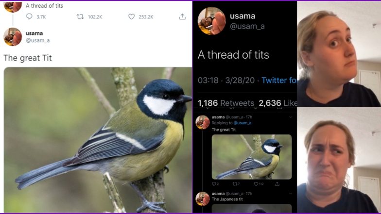 A Thread of Tits Going Viral on Twitter is a Treat For Your Eyes, But 'Dirty Minds' Can't Keep Calm; Check Out These Funny Reactions