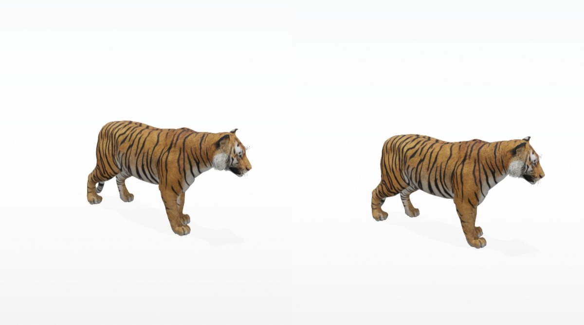 animali in 3D con google.tigre - ClaireinSicily Family Travel Blog