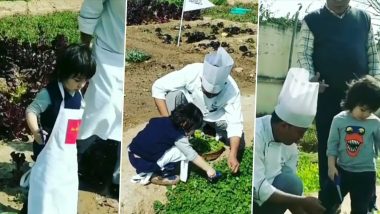 Taimur Ali Khan Turns Into A Cute Chef, Picks Fresh Veggies From an Organic Farm (Watch Video)