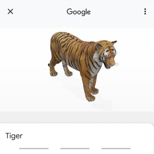 Which is your favourite 3D animal on Google? Vote for the best AR animal in  our poll - from tigers, lions, giant pandas and more
