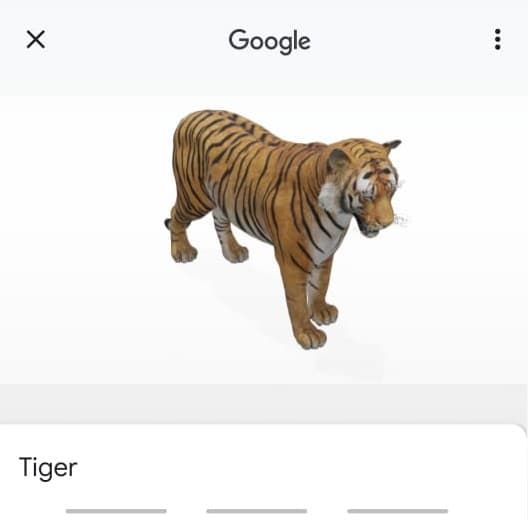 Become a Tiger King with These 3D Animals and Objects on Google