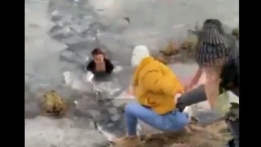 Woman Risks Her Life to Save Dog by Cutting Through Icy Pond, Heartwarming Video Goes Viral