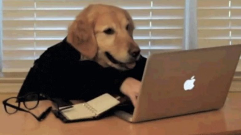 Work From Home Struggles: From Battling Unemployment Rumours to Severe Back Pain, 7 Things People With WFH Can Totally Relate to