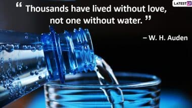 World Water Day Quotes: Inspirational Words and Slogans to Raise Awareness on Importance of Water