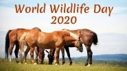 World Wildlife Day 2020 Date And Theme: Significance, History And All About The Day Meant For Awareness on Protecting Animals And Their Habitat