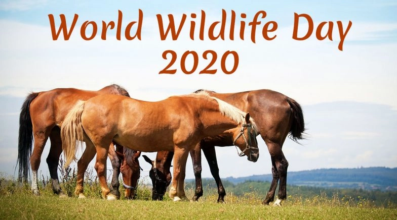 World Wildlife Day 2020 Date: Theme And Significance of The Day