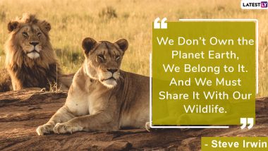 World Wildlife Day 2020 Quotes: Thoughts on Wildlife Habitat And Its Conservation That is Essential For Better Future