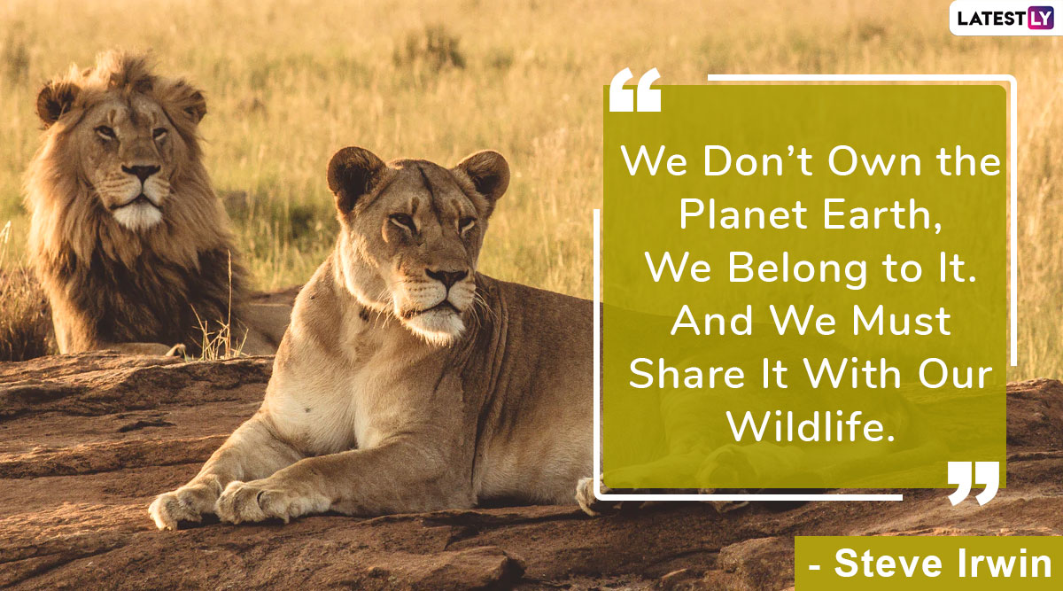 World Wildlife Day 2020 Quotes: Thoughts on Wildlife Habitat And Its  Conservation That is Essential For Better Future | 🙏🏻 LatestLY