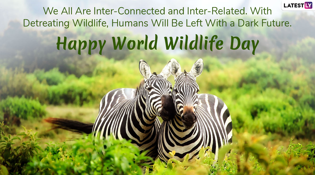 World Wildlife Day 2023 Quotes, Wishes & HD Images: Send 'Save Wildlife'  Messages, Wallpapers, Sayings & GIFs to Celebrate the Day Dedicated to  Flora and Fauna | 🙏🏻 LatestLY