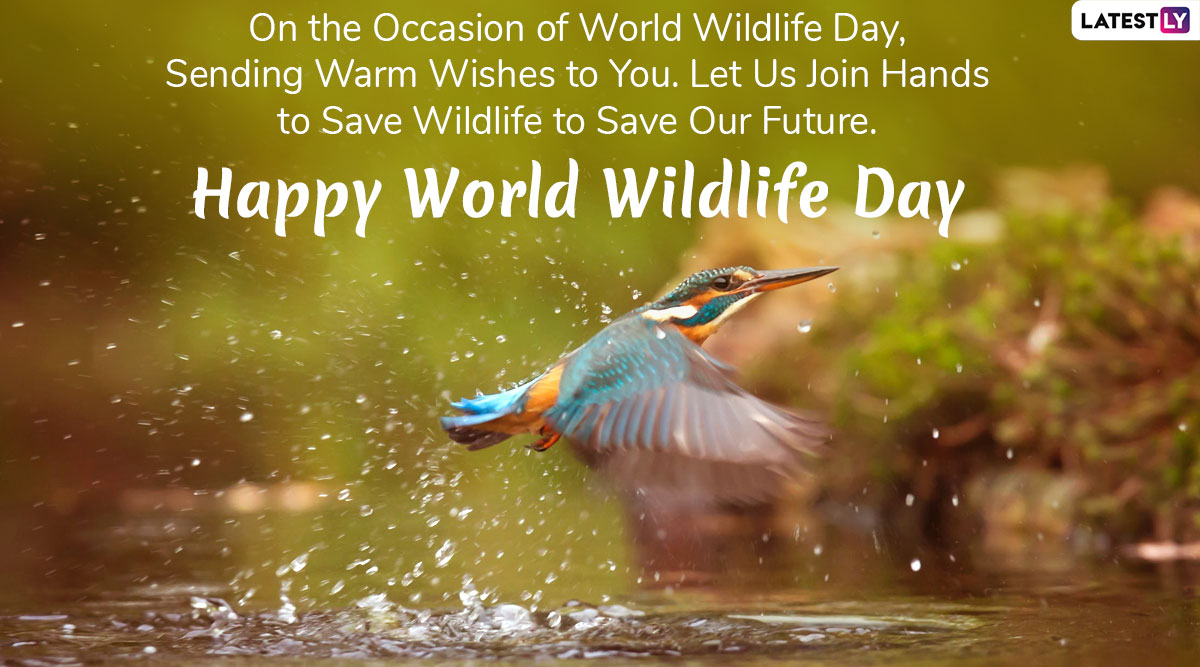 happy-world-wildlife-day-2020-wishes-whatsapp-stickers-gif-images