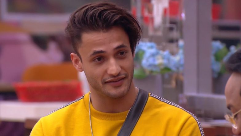 Asim Riaz Gets Slammed by Bigg Boss 13 Influencer, Says ‘He Wouldn’t Have Become Number 2 if I Wasn’t Around’