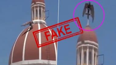 Fact Check: Bizarre-Looking Bird Caught Climbing Over Church in Italy? Know Truth About Fake Viral Video