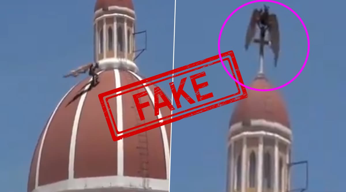 Fact Check: Bizarre-Looking Bird Caught Climbing Over Church in Italy? Know Truth About Fake Viral Video Fact Check: Bizarre-Looking Bird Caught Climbing Over Church in Italy? Know Truth About Fake Viral Video