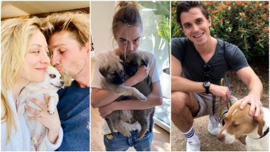 Kaley Cuoco, Cara Delivigne, Antoni Porowski and More Celebs Are Fostering Shelter Dogs During the COVID-19 Pandemic (See Pics)