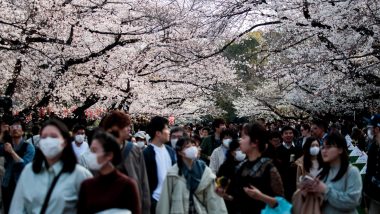 Japanese People Gather in Parks and Party Together to Witness Cherry Blossoms Amid Coronavirus Spread (Watch Video)