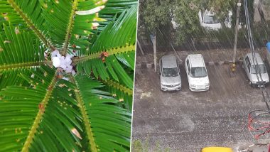 #DelhiRains Trend on Twitter As Delhiites Experience Heavy Rainfall and Hailstorms in the National Capital, Share Pictures and Videos on Social Media