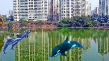 After Dolphins Spotted at Mumbai's Marine Drive, People Share Fake Funny Pics and Videos of The Aquatic Mammals Seen in Thane and Powai Lakes