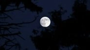 March Full Worm Supermoon 2020 Date and Time: Know How and When to Watch This Amazing Lunar Spectacle