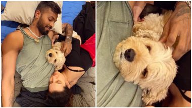 Natasa Stankovic and Hardik Pandya's Quarantine Pic Is Cute, but Their Dog Is Stealing the Show