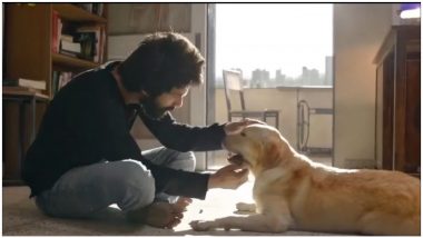 Shahid Kapoor Says Kabir Singh Would Hug Preeti (The Dog) and Follow Rules During the Shutdown To Curb COVID-19 Pandemic