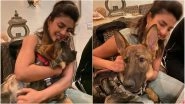 Priyanka Chopra Snuggles With a Cute German Shephard And Says Hugs Make Staying Home Better (See Pics)
