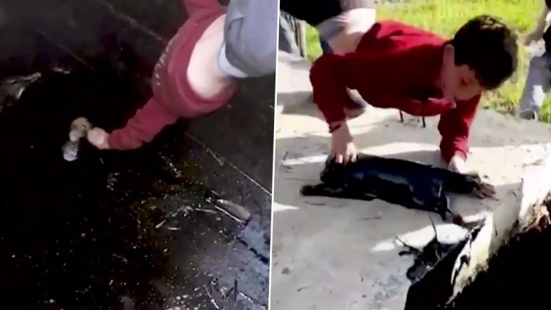 Little Boy Bravely Rescues Puppy Stuck in an Oil Well in Turkey, Video of His Heroic Act Goes Viral