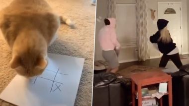 Quarantine Games: From Tic Tac Toe With Pets to Pillow Fights, Netizens Suggest Creative Ways to Spend Time at Home Amid Coronavirus (Watch Funny Videos)
