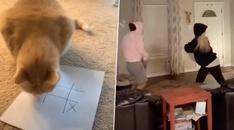 Netizens Suggest Quarantine Games to Spend Time at Home Amid Coronavirus (Watch Funny Videos)