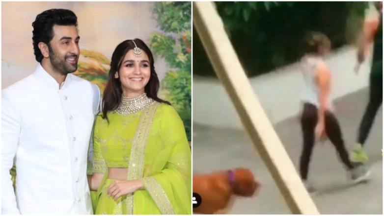 Alia Bhatt and Ranbir Kapoor Take Their Dog out for a Walk