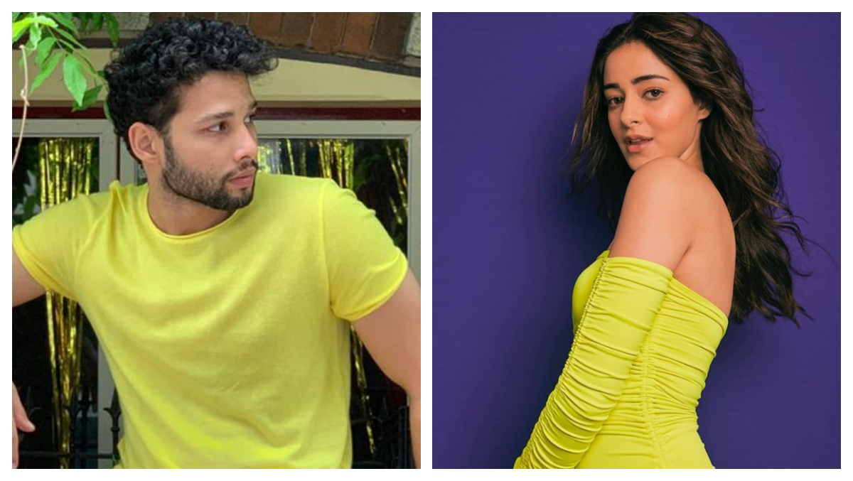 Siddhant Chaturvedi Comes Clean On His Nepotism Jibe At Ananya Panday: 'It Was Not Meant To Be Taken Like That'