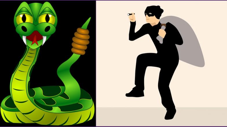 Zimbabwe: Snake Saves Man From Being Attacked by Robbers